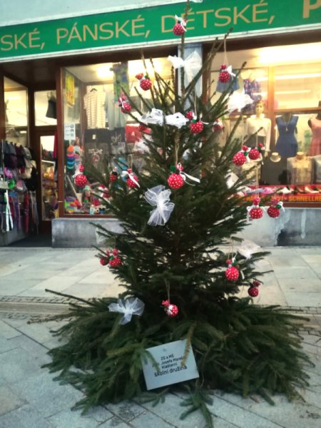 Vítězný stromek školní družiny - klikněte pro zvětšení