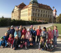 D58A8E9D-99C6-4716-B8CB-C454A58A6494_800x600.jpeg