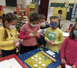 IMG_20201210_104834.jpg