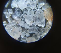 25-20230221.jpg