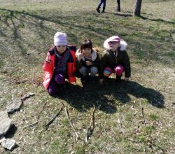IMG_20190321_111655_800x600.jpg
