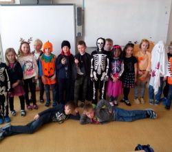 IMG_20181031_132318.jpg