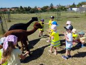 04-20260609.jpg
