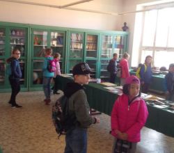 IMG_20190920_091642_800x450.jpg